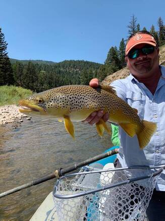 Man smiling holding brown trout